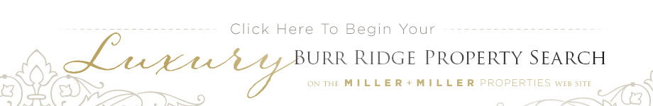 Burr Ridge home search